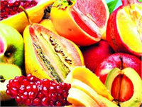 Biyoteknolojinin Zararları Nelerdir